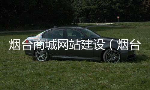 烟台商城网站建设（烟台网站建设哪家更好）