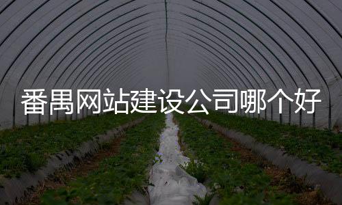 番禺网站建设公司哪个好（番禺做网站）