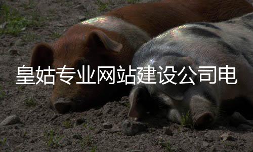 皇姑专业网站建设公司电话_(皇姑普工招聘皇姑技工招聘皇姑工人招聘网)