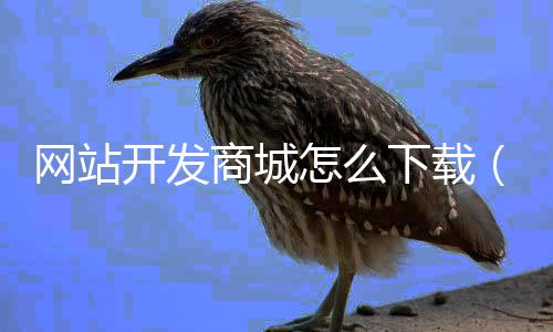 网站开发商城怎么下载(开发网站流程)
