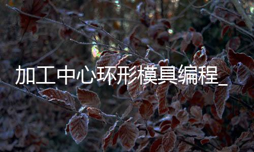 加工中心环形模具编程_(加工中心环形模具编程教程)