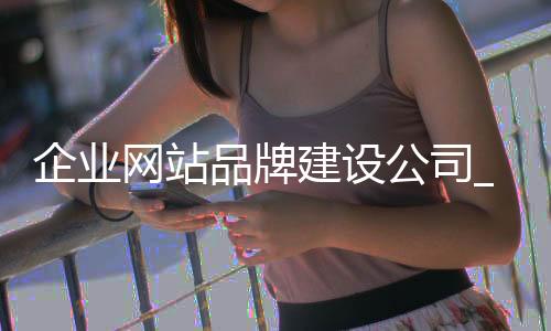 企业网站品牌建设公司_(网站建设公司推广网站品牌运营)