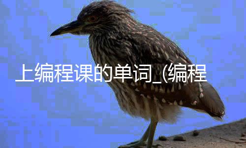 上编程课的单词_(编程课英语怎么读)