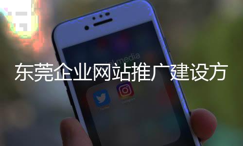 东莞企业网站推广建设方案_(东莞企业网站推广建设方案范文)