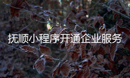 抚顺小程序开通企业服务_(抚顺小程序开通企业服务电话)