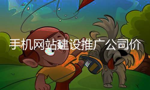 手机网站建设推广公司价格（网站建设公司怎么推广）