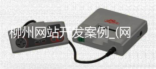 柳州网站开发案例_(网站开发公司创业策划)