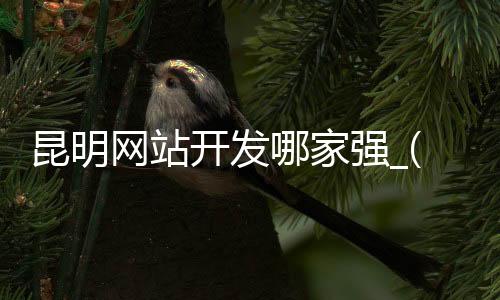 昆明网站开发哪家强_(昆明网站建设哪儿好薇)