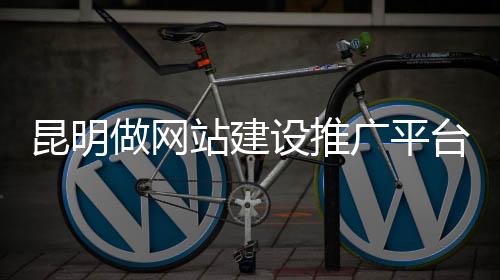 昆明做网站建设推广平台（昆明网站开发制作推广）