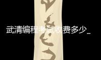 武清编程考试收费多少_(编程报名费一般要多少钱) 