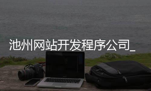 池州网站开发程序公司_(池州网站开发程序公司有哪些)