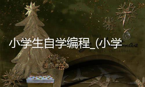 小学生自学编程_(小学生自学编程该如何入手)