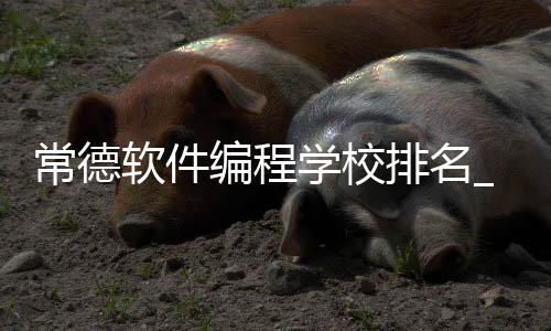 常德软件编程学校排名_(常德学计算机编程的培训)