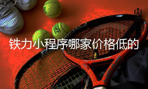 铁力小程序哪家价格低的简单介绍