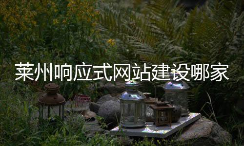 莱州响应式网站建设哪家好的简单介绍